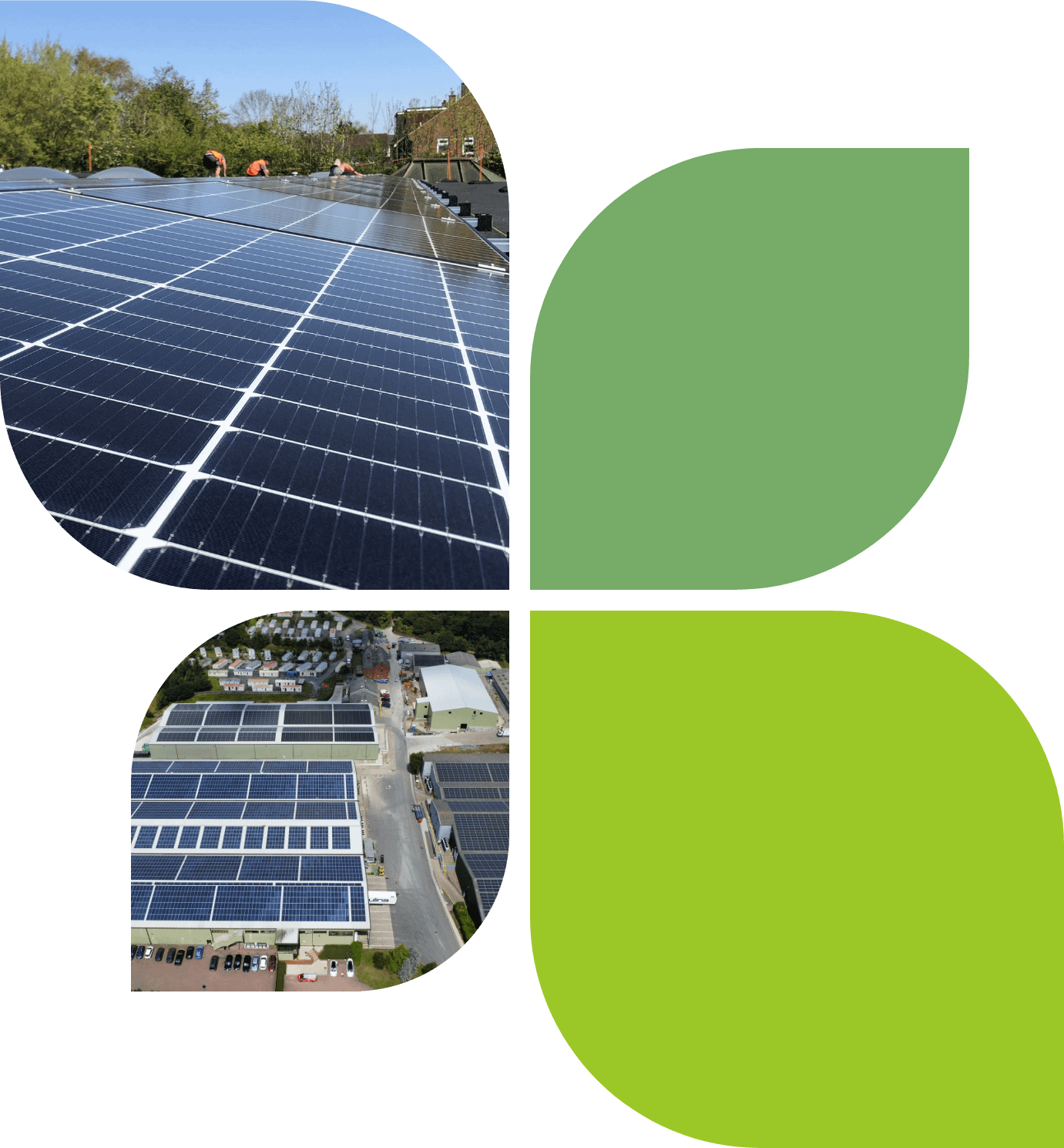 Asset Finance Leaf Graphic