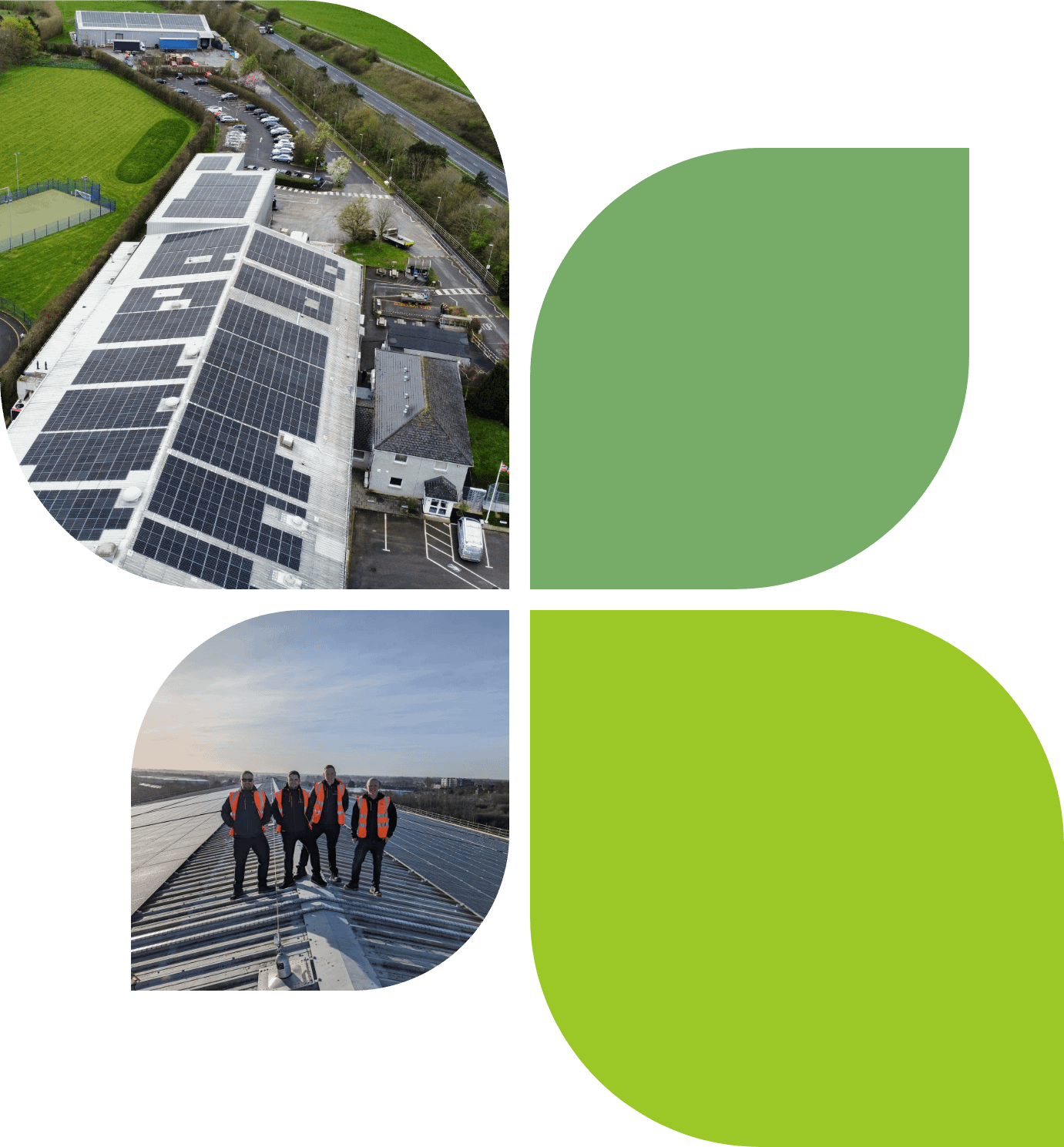 PPA Leaf Graphic Image