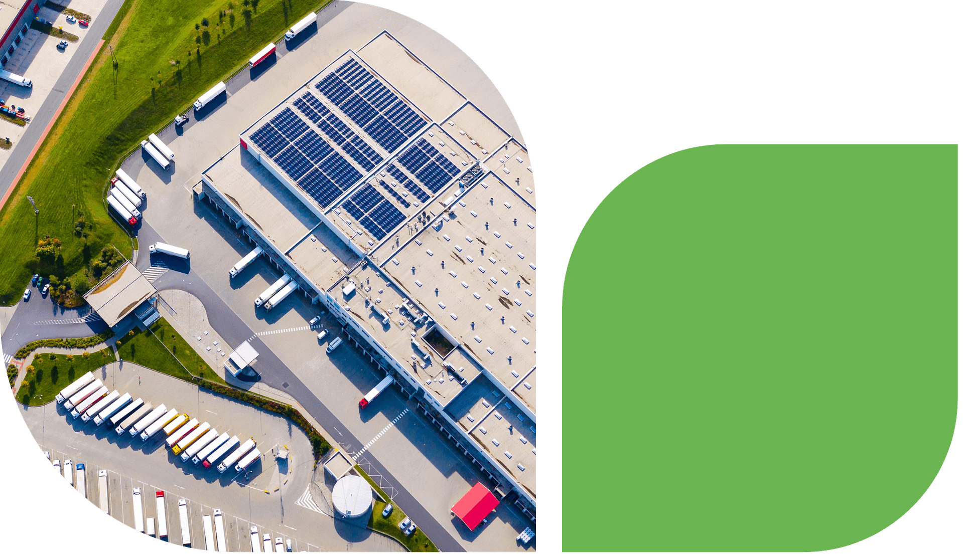 harvest-green-about-us-shapes